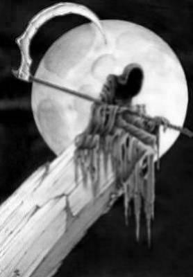 hacidou  el  arewahe