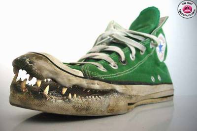 converse le fauveeeeeeeeeeeeeeeee